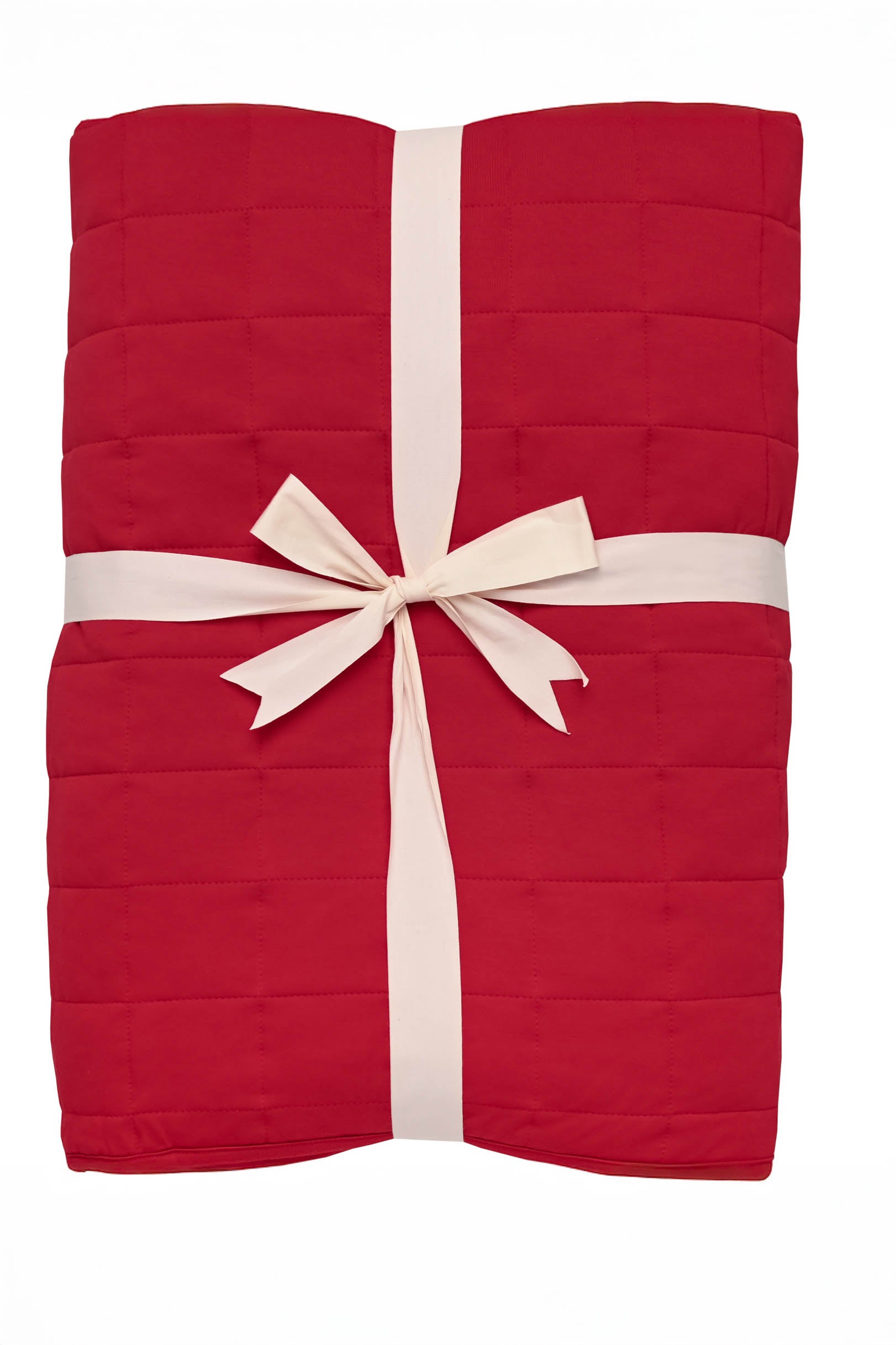 Kyte Baby's Throw Blanket in Cardinal 2.5