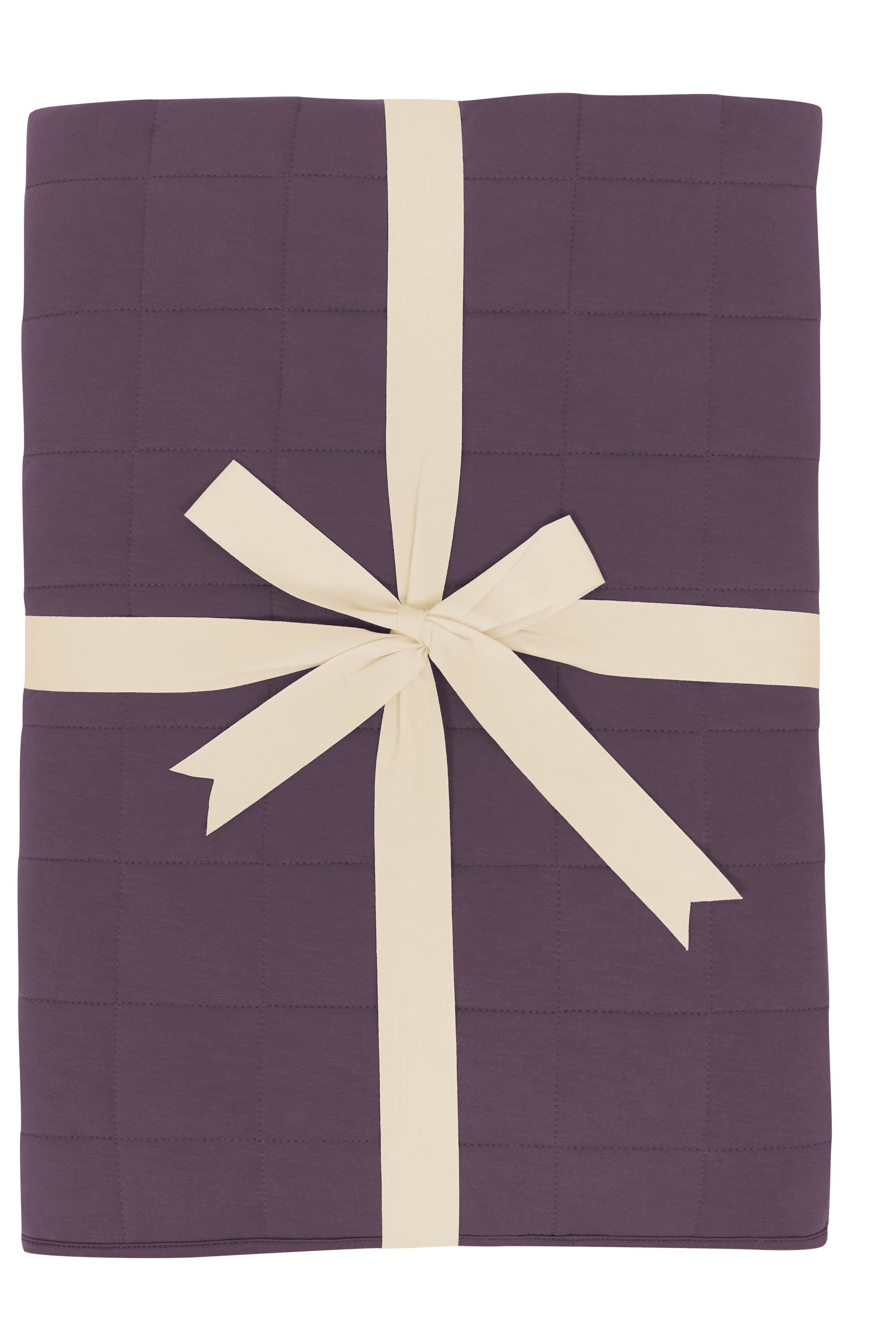 Kyte Baby's Throw Blanket in Currant 2.5