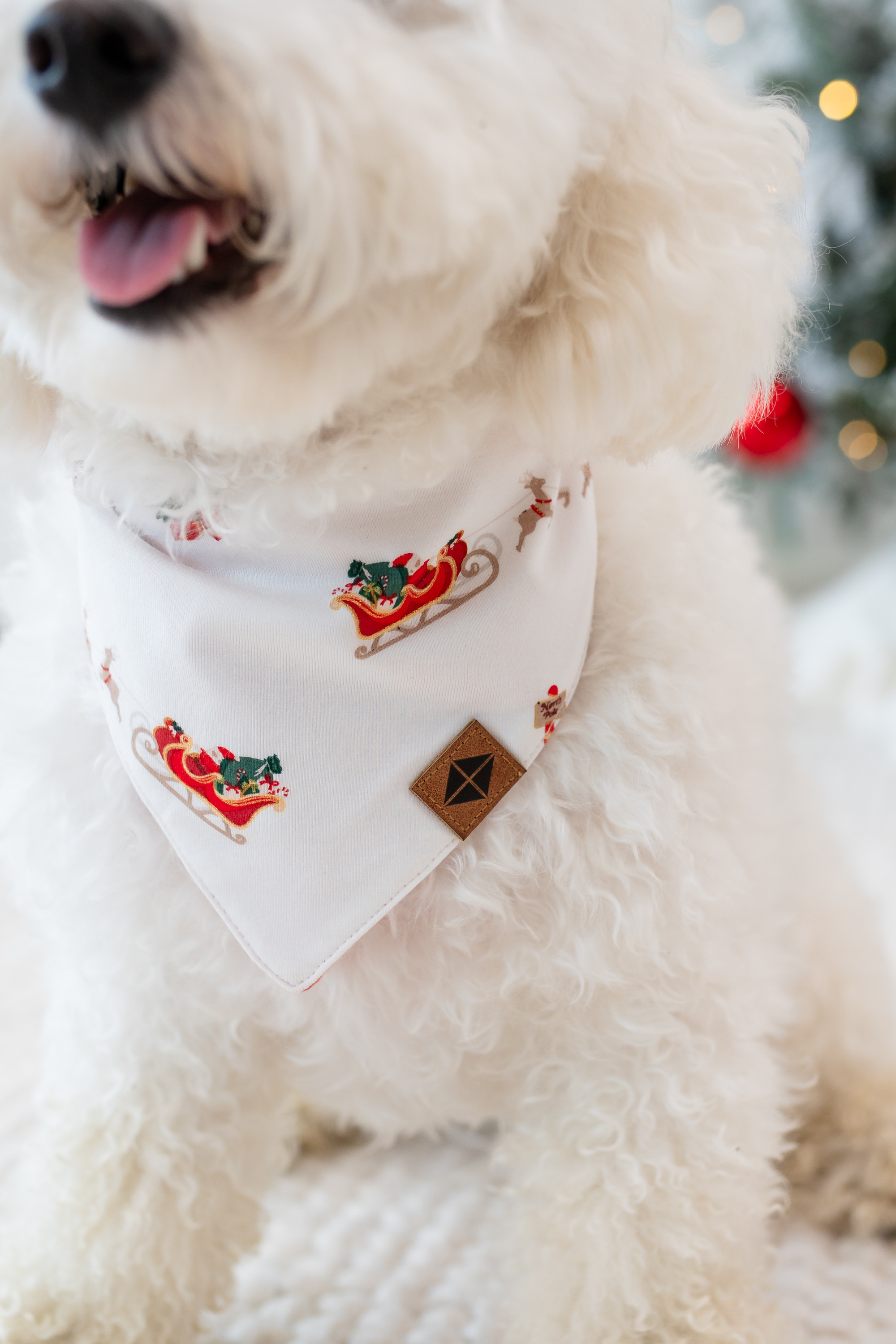 Close up of the Dog Bandana in Santa Sleigh