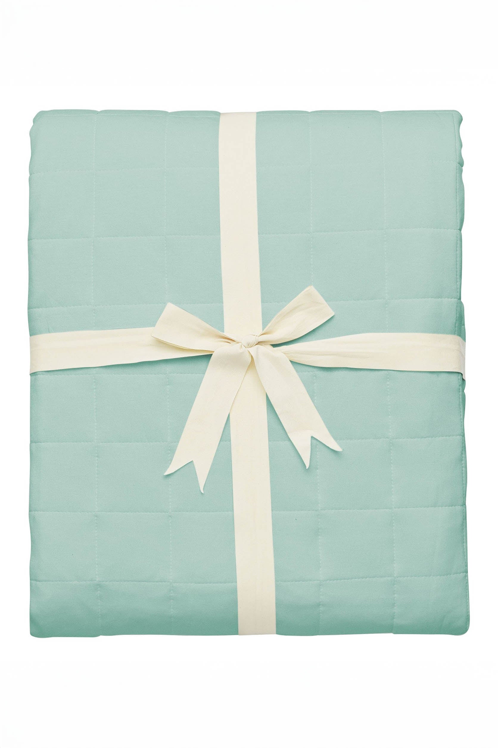 Kyte Baby's Adult Quilted Blanket in Sage 2.5