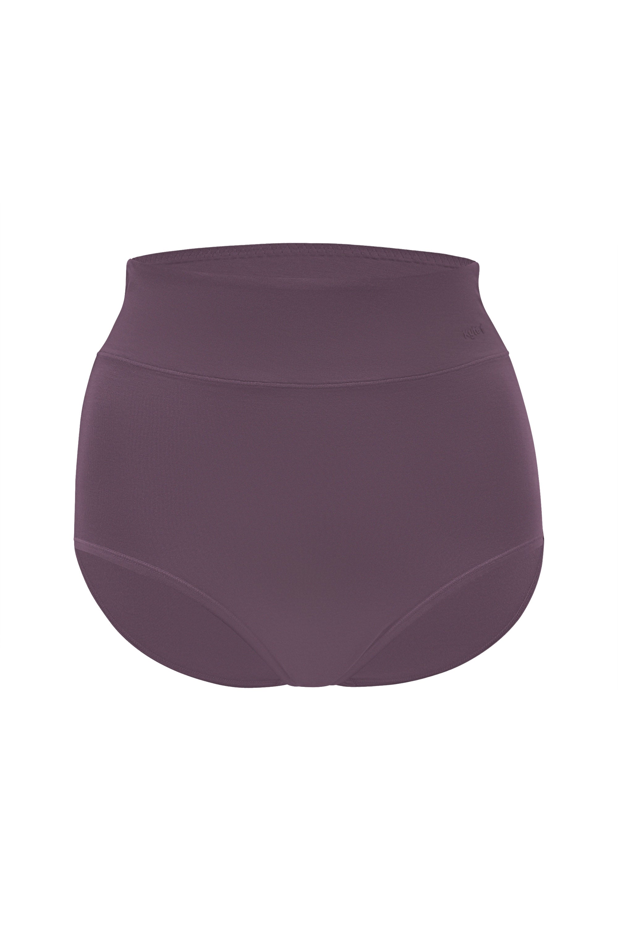 Women's High-Waisted Brief in Currant