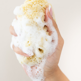 Woman's hand squeezing the Kyte Living Sea Sponge with soap