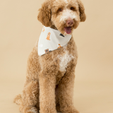 Brown dog wearing a cream bandana with dog prints on a beige background