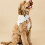 Brown dog wearing a cream bandana with dog prints on a beige background