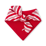 Red fabric on the Back side of Dog Bandana in Peppermint Stripes print on a white background