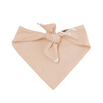 Product photo of the back of a tied up Dog Bandana in Gilmore Girls