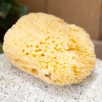 The Kyte Living Sea Sponge shown dry on a natural stone