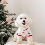 A white dog sitting on a cream colored couch wearing the Dog Tee in Santa Sleigh