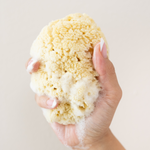 Woman's hand holding the Kyte Living Sea Sponge with soap