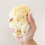 Woman's hand holding the Kyte Living Sea Sponge with soap