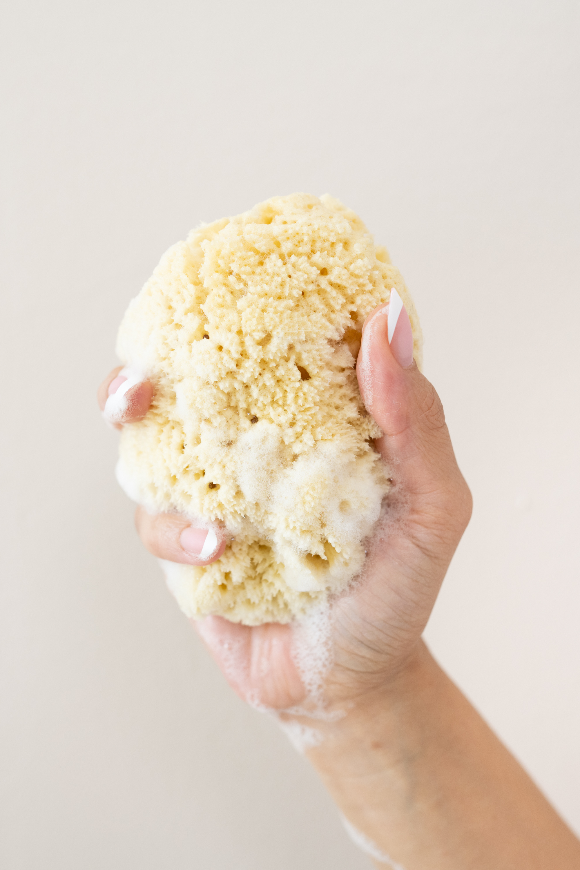 Woman's hand holding the Kyte Living Sea Sponge with soap