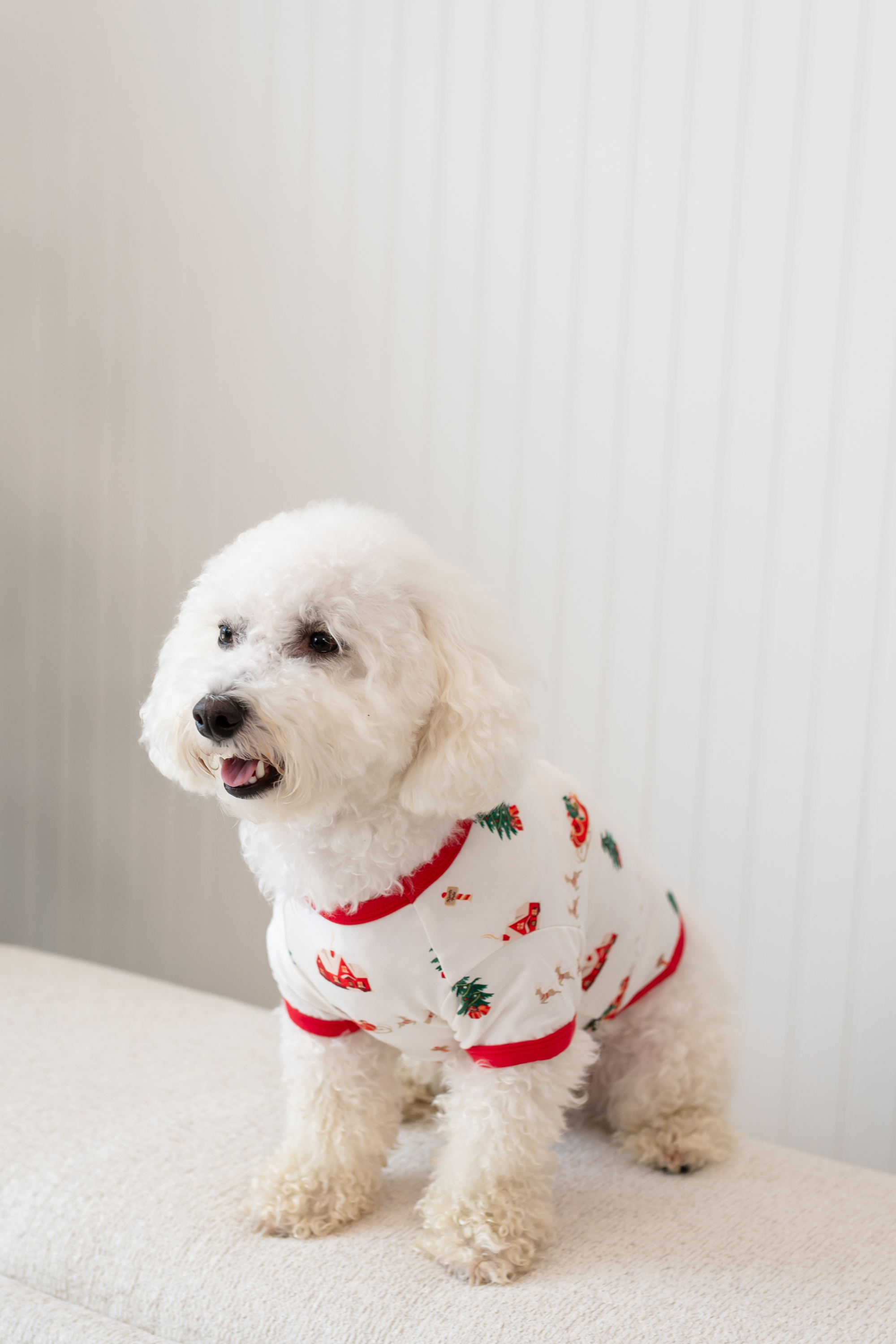 The side view of the Dog Tee in Santa Sleigh shown on a small white dog