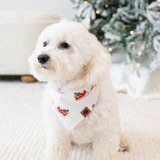 Small white dog wearing the Dog Bandana in Santa Sleigh