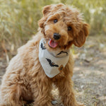 Brown dog wearing Dog Bandana in Bats print on a grass