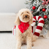 Medium sized dog standing in front of a decorated Christmas tree wearing the Dog Bandana in Candy Cane