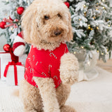 Medium sized dog wearing the Dog Tee in Candy Cane standing on a cream carpet in front of a decorated Christmas Tree