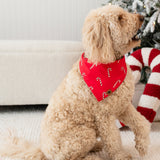 Medium sized dog sitting on a cream carpet in front of a decorated Christmas tree facing the right wearing the Dog Bandana in Candy Cane