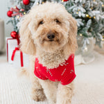 Medium sized dog walking on a cream carpet in front of a decorated Christmas tree wearing the Dog Tee in Candy Cane