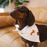 A chocolate and tan dachshund wearing the Dog Bandana in Dachshund while sitting on a camel leather couch with greenery in the background 