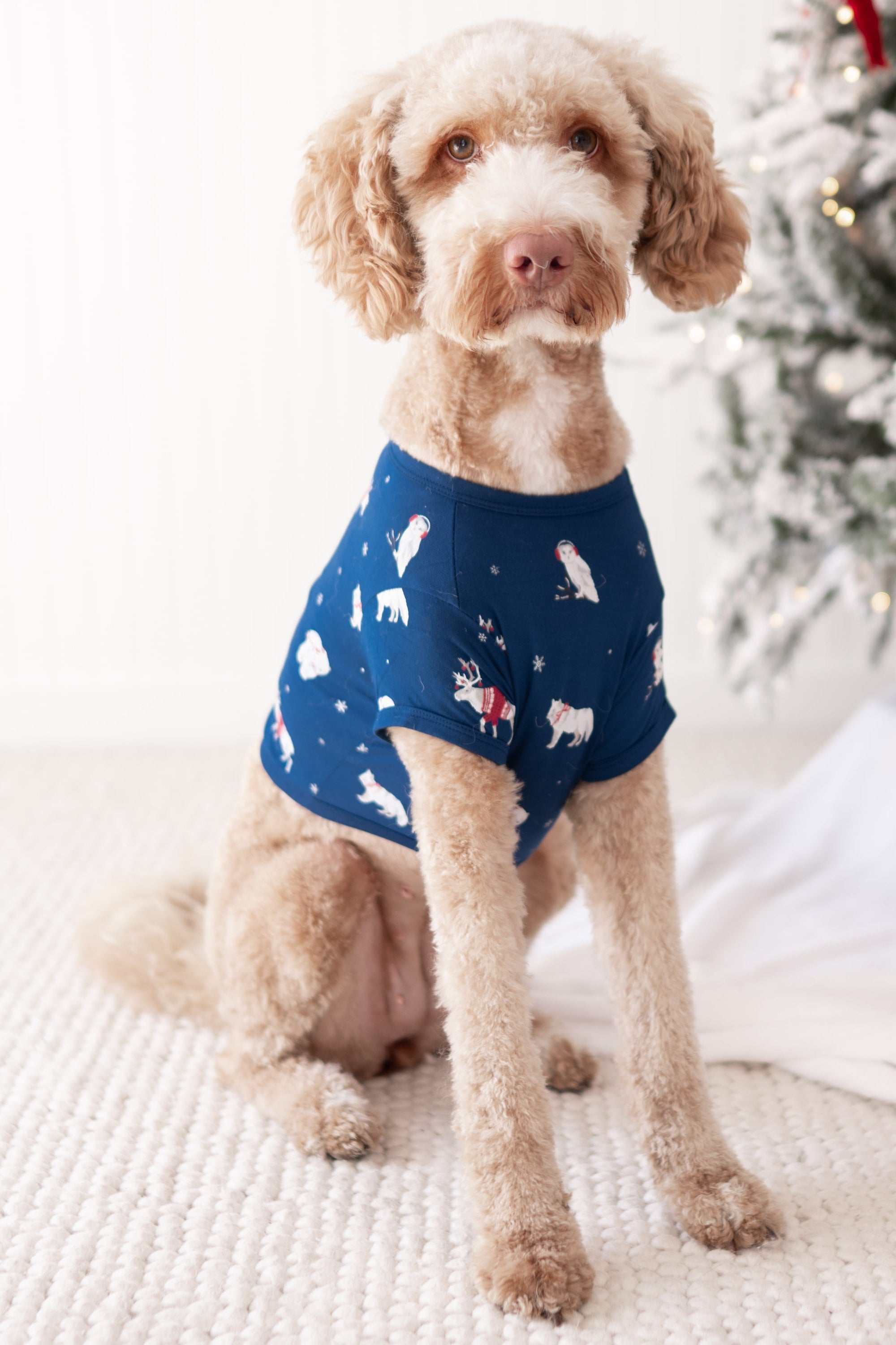 Large sized dog wearing the Dog Tee in Frosty Friends in front of a decorated Christmas Tree