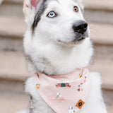 Husky dog wearing the Dog Bandana in Gilmore Girls