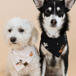 Black and white dog wearing Dog Bandana in Halloween Friends print sitting with a white dog wearing Dog Bandana in Halloween Teddy print on a beige background