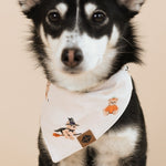 Black and white Dog wearing Dog Bandana in Halloween Teddy print on a beige background