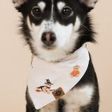 Black and white Dog wearing Dog Bandana in Halloween Teddy print on a beige background