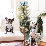 Two dogs wearing Dog Bandana in Holiday Pups print sitting in a room with Christmas tree in the background