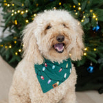 Medium sized dog wearing the Dog Bandana in Merry and Bright standing in front of a decorated Christmas tree