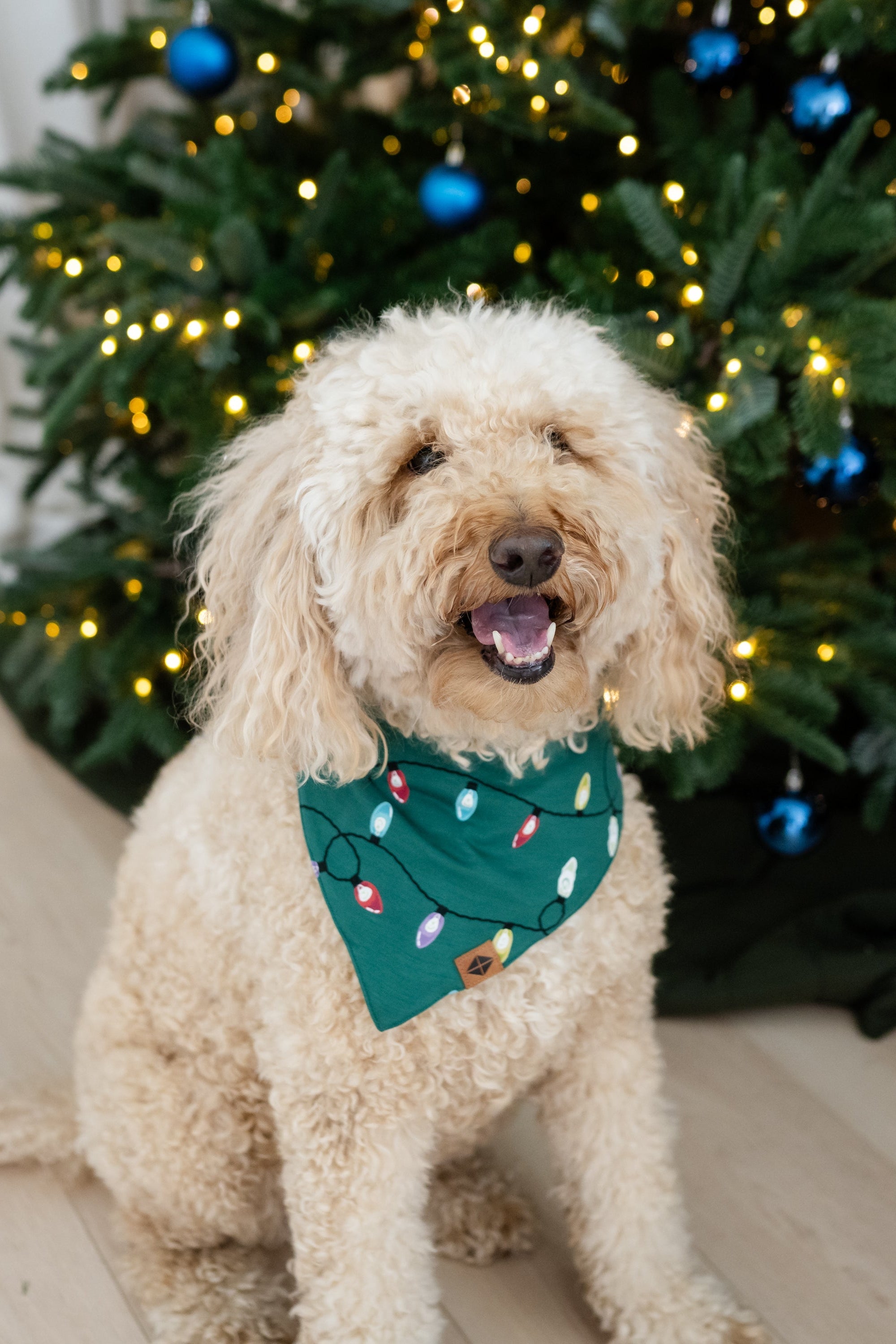 Medium sized dog wearing the Dog Bandana in Merry and Bright standing in front of a decorated Christmas tree