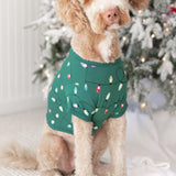 Large dog wearing the Dog Tee in Merry and Bright standing on a cream carpet in front of a decorated Christmas Tree