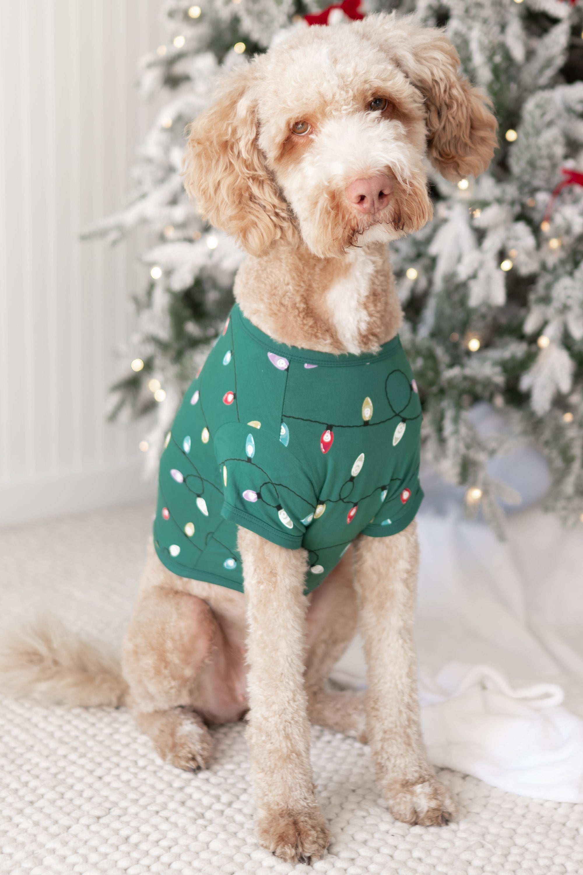 Large dog wearing the Dog Tee in Merry and Bright standing on a cream carpet in front of a decorated Christmas Tree