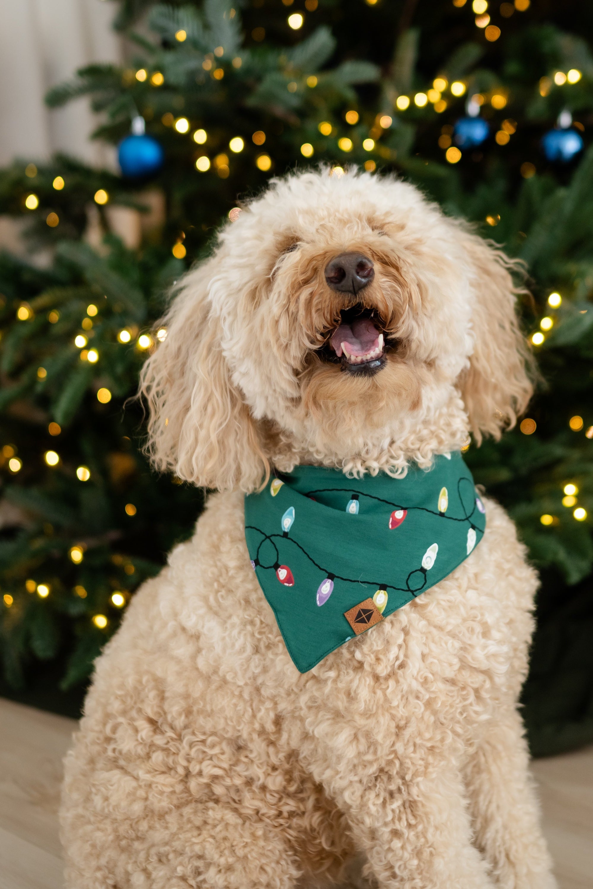 Medium sized dog wearing the Dog Bandana in Merry and Bright standing in front of a decorated Christmas tree