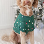 Large dog wearing the Dog Tee in Merry and Bright standing beside a decorated Christmas tree