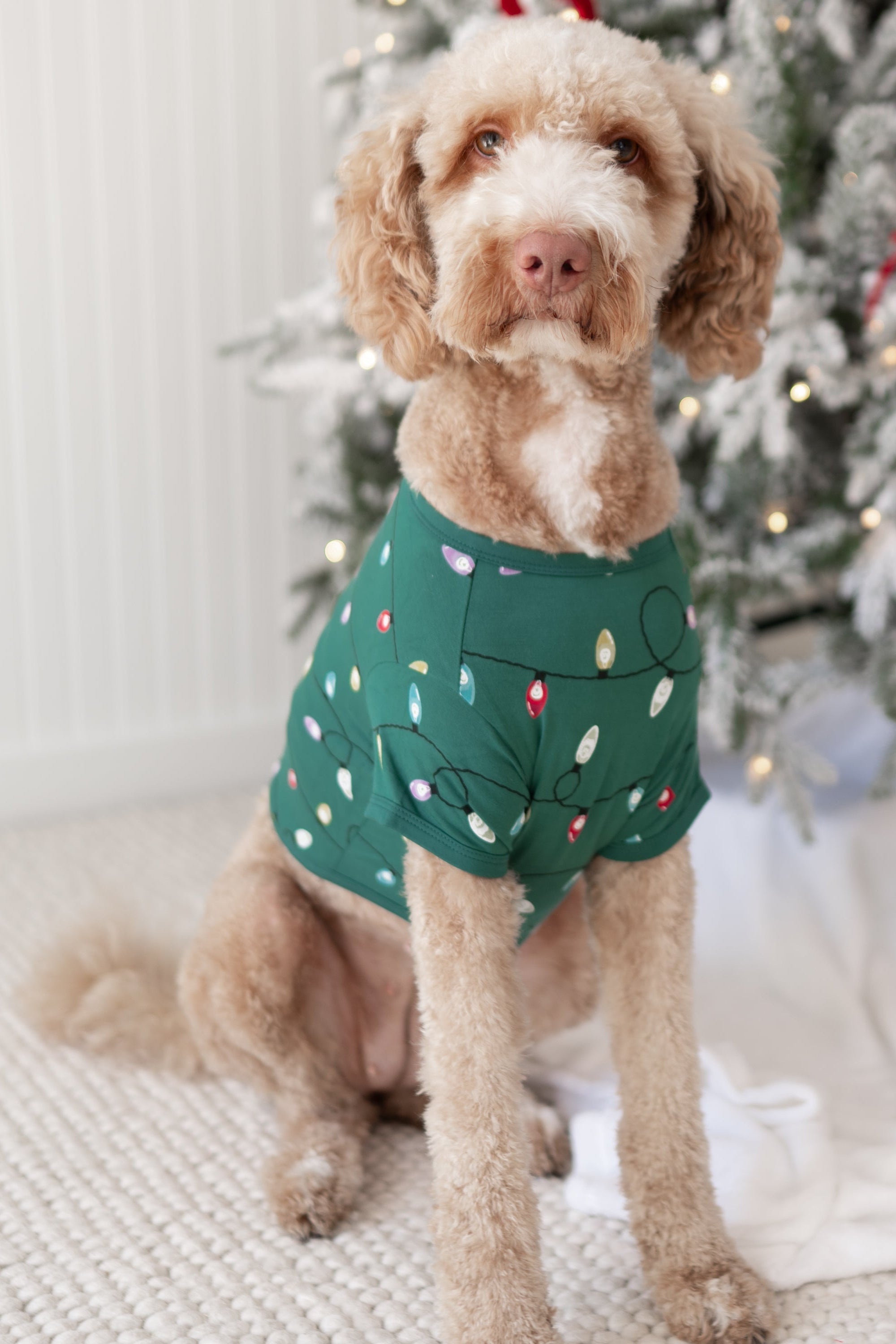 Large dog wearing the Dog Tee in Merry and Bright standing beside a decorated Christmas tree