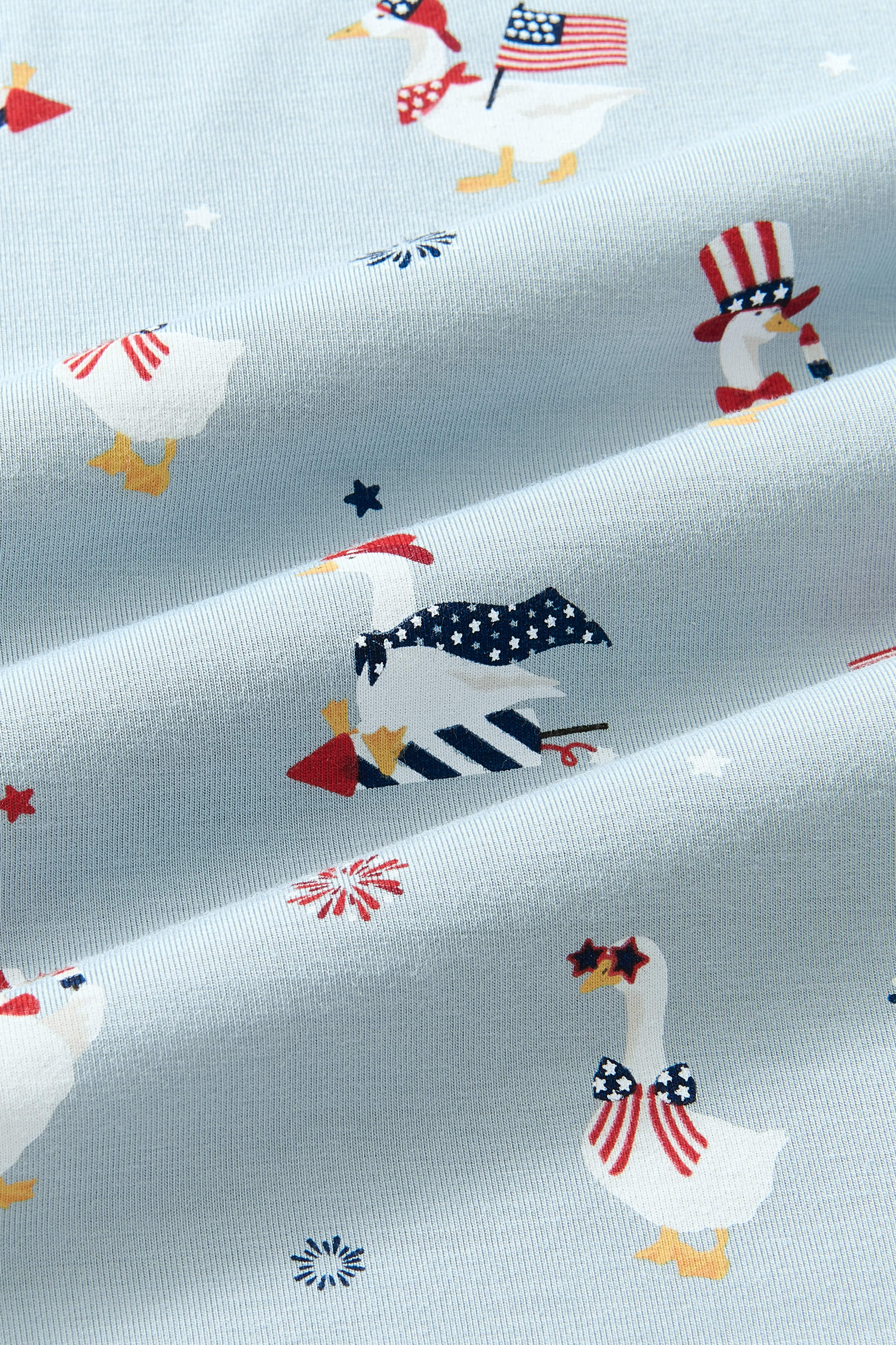 Close up of the Patriotic Goose print 