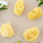 Face Sea Sponge - 4 Pack Bundle shown next to greenery and white flowers