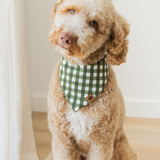 Dog wearing a green checkered bandana sitting on a wooden floor.