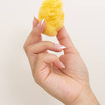 Woman's hand holding one of the Face Sea Sponges