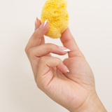 Woman's hand holding one of the Face Sea Sponges