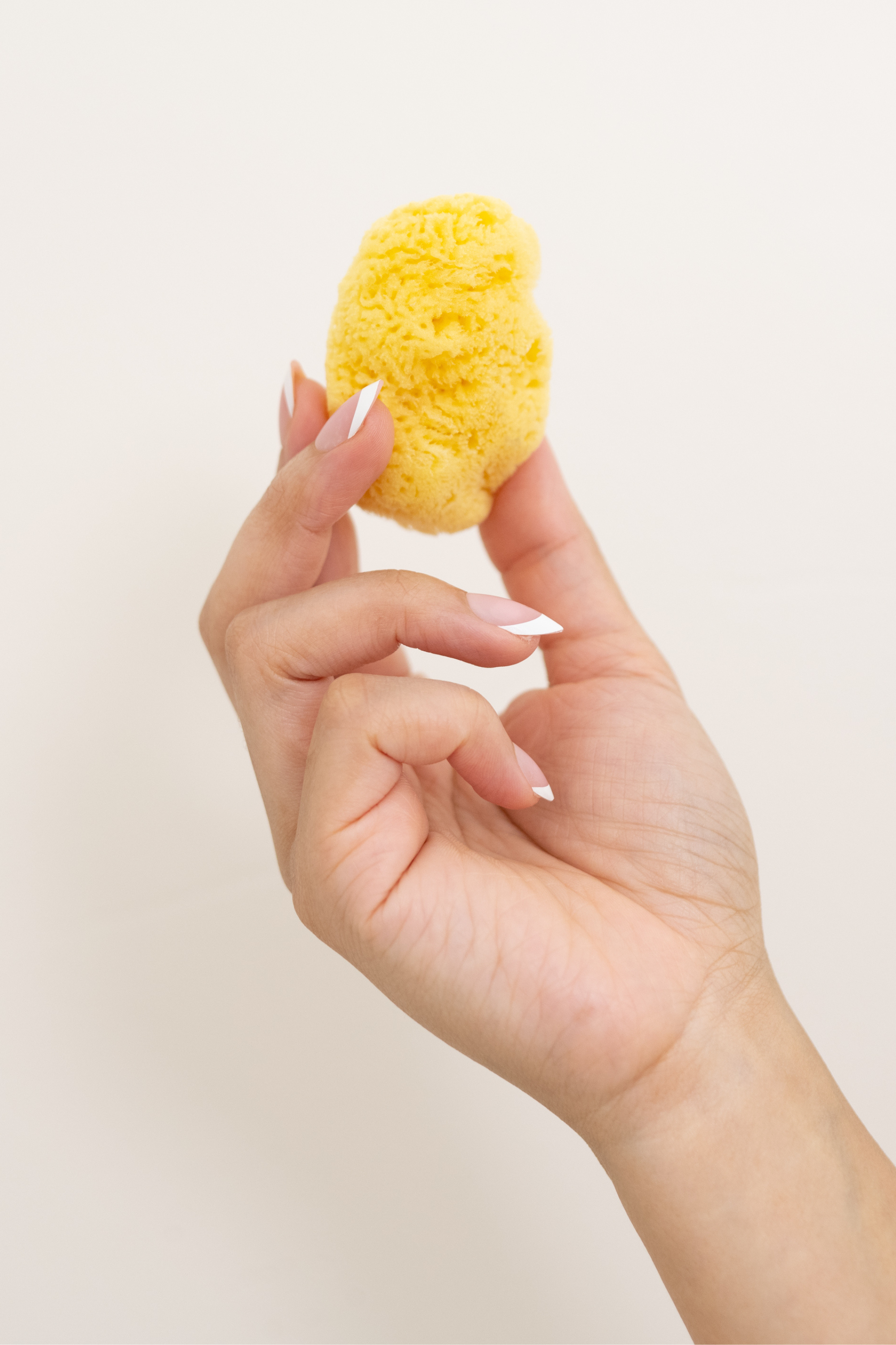 Woman's hand holding one of the Face Sea Sponges
