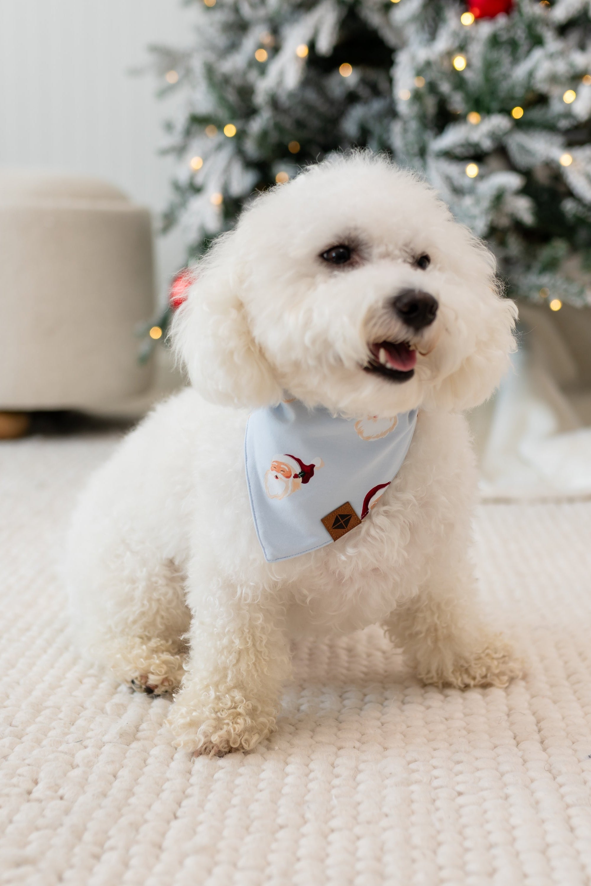 Small white dog standing on a cream carpet in front of a lit and frosted tree wearing the Dog Bandana in Vintage Santa