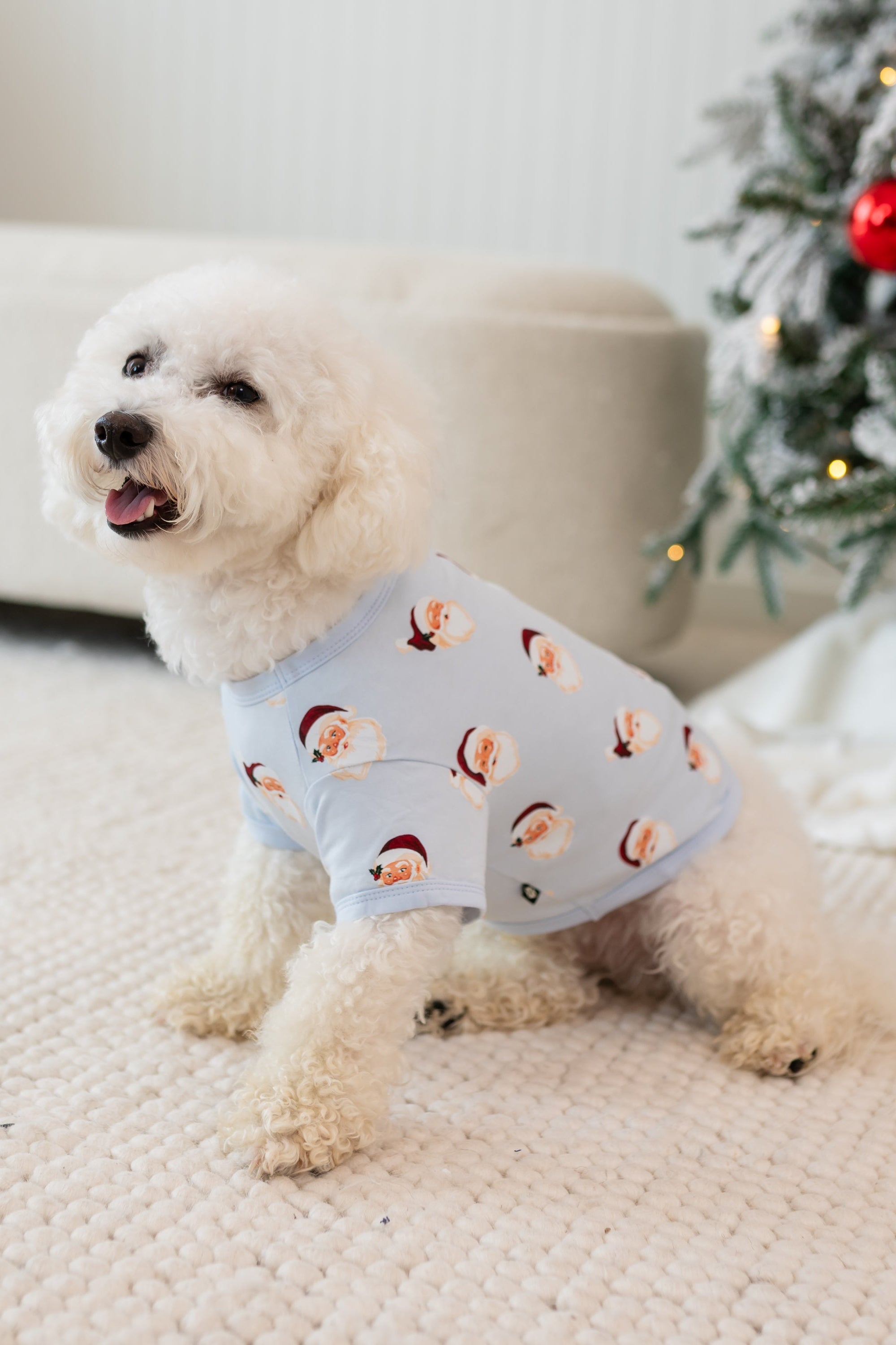 Small white dog sitting on a cream carpet wearing the Dog Tee in Vintage Santa in front of a decorated christmas tree