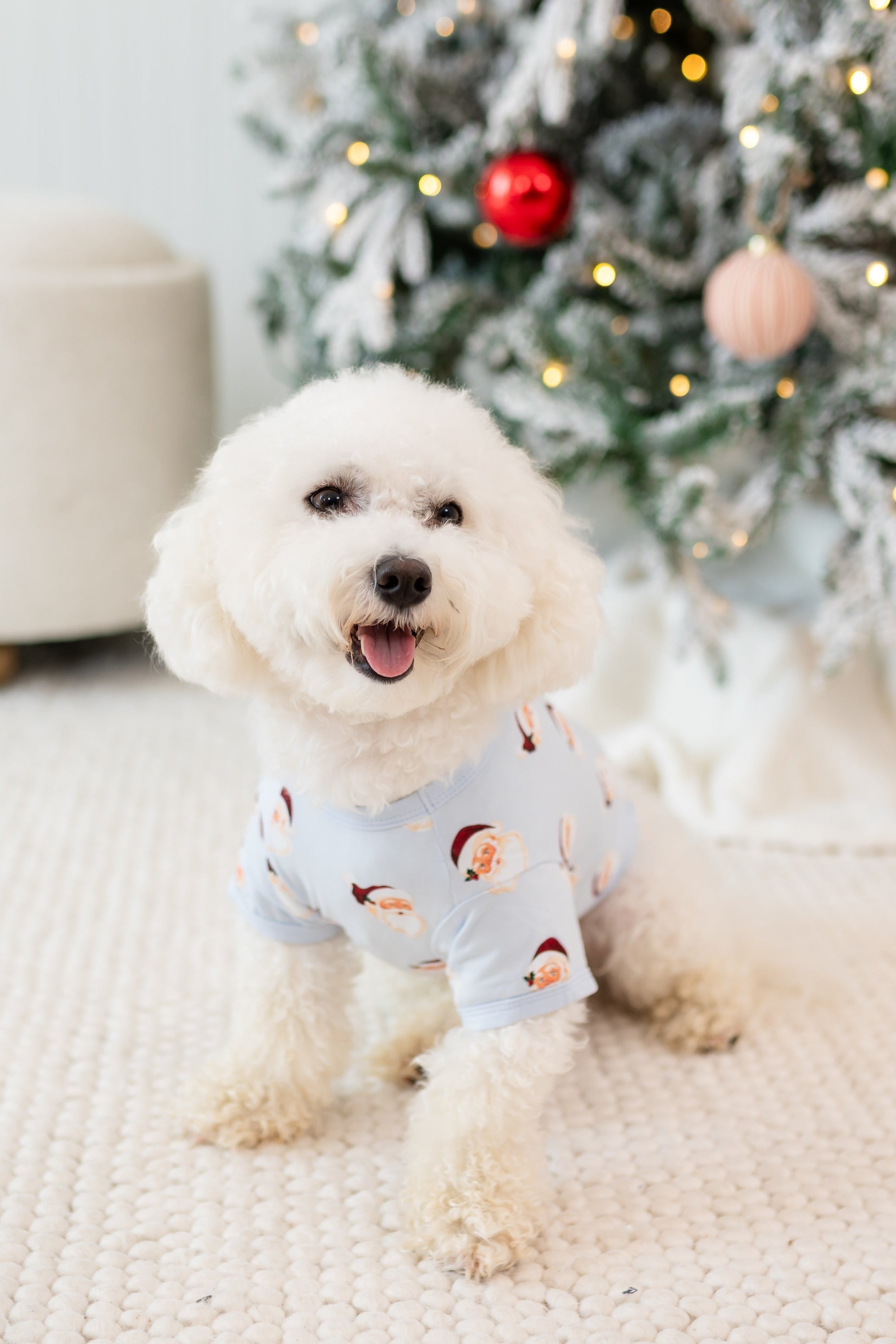 Small white dog sitting on a cream carpet wearing the Dog Tee in Vintage Santa
